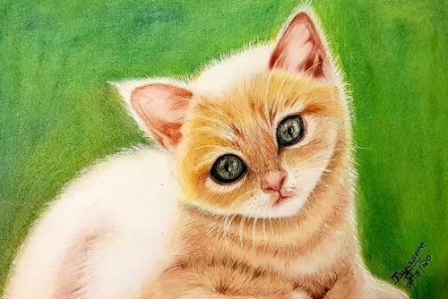 Art of Jayasree Kumar